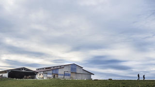 Le 25 décembre 2024, les conditions seront douces, avec des maximales comprises entre 9 °C et 18 °C, indique Météo France.